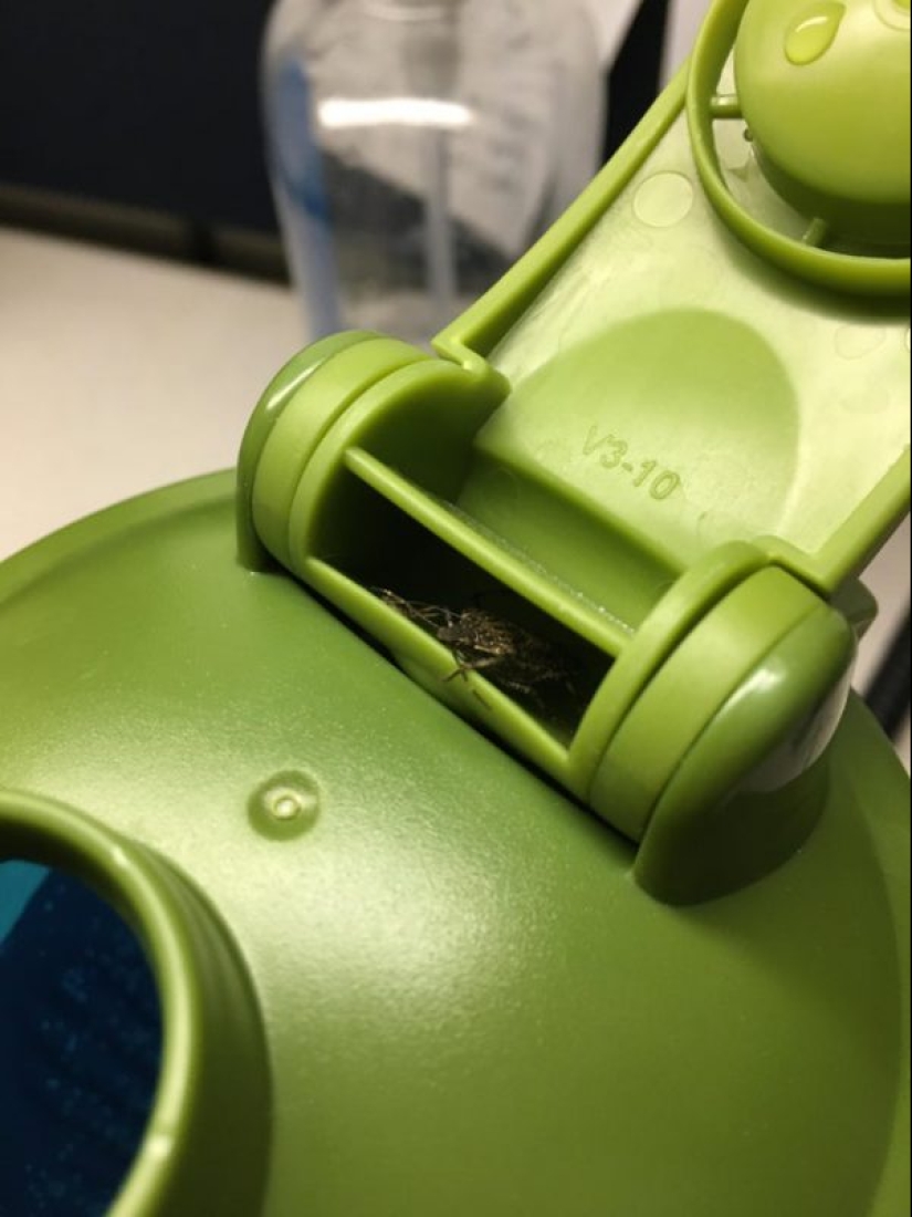 20 personas cuyo día no empezó como yo quería 20 personas cuyo día no empezó como yo quería