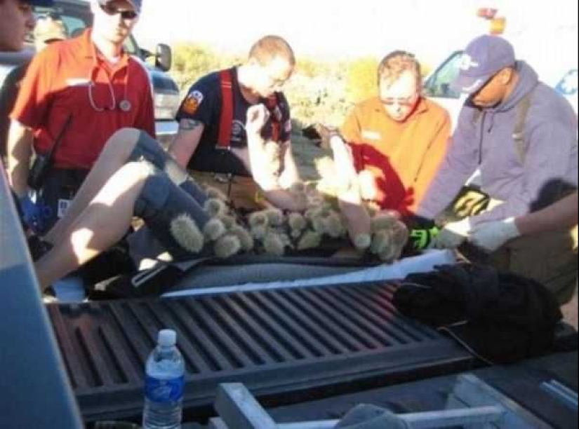 20+ personas que sintieron lo que es un mal día, en su propia piel 20+ personas que sintieron lo que es un mal día, en su propia piel