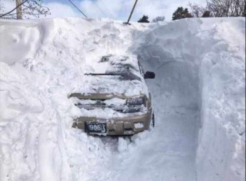20+ personas que sintieron lo que es un mal día, en su propia piel 20+ personas que sintieron lo que es un mal día, en su propia piel