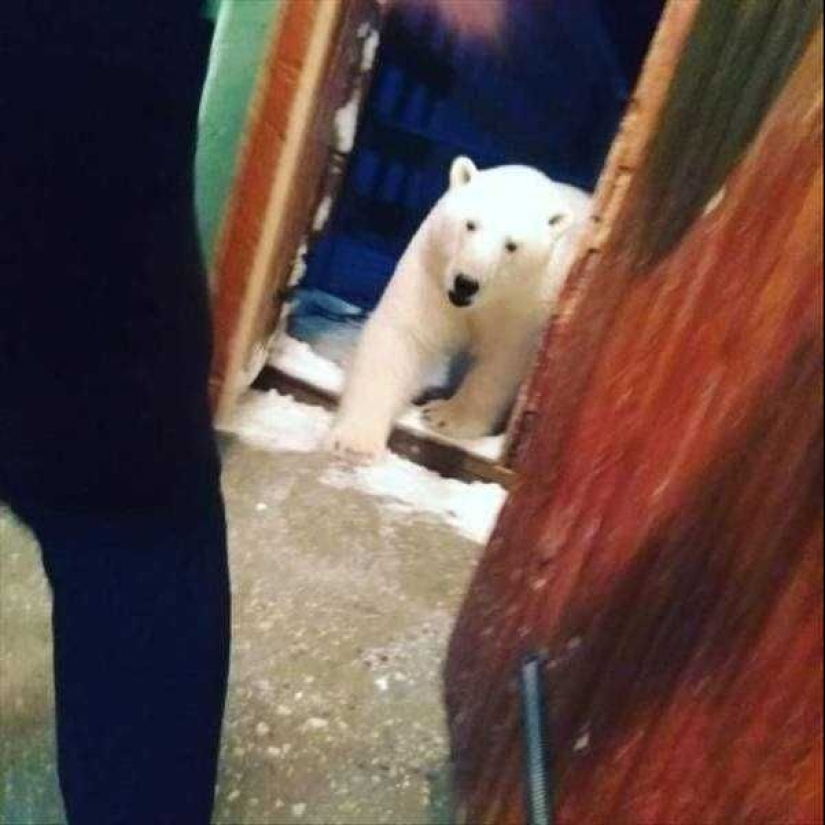 20+ personas que sintieron lo que es un mal día, en su propia piel 20+ personas que sintieron lo que es un mal día, en su propia piel