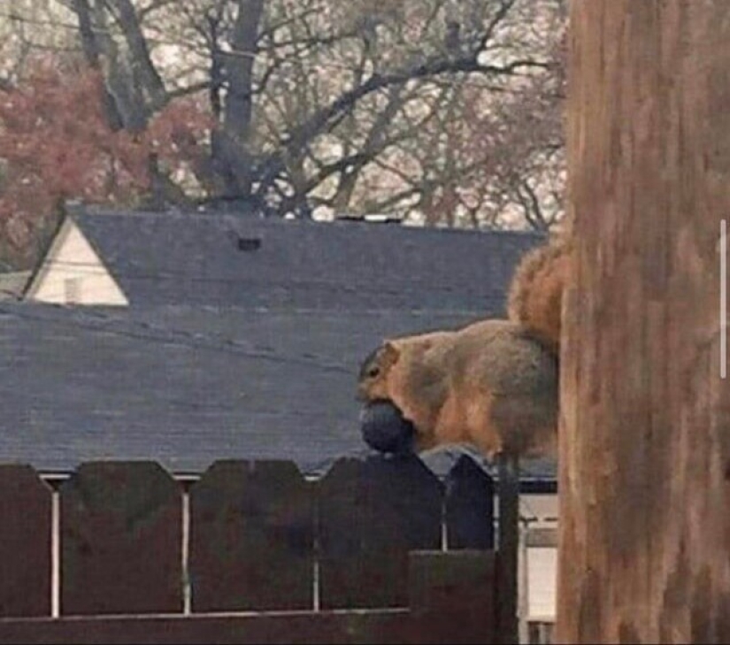 20 personas y cosas cuyas verdaderas dimensiones se conocen por comparación