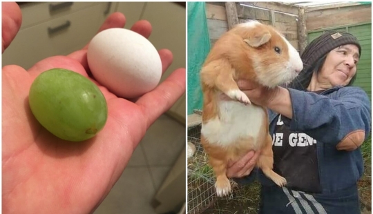 20 personas y cosas cuyas verdaderas dimensiones se conocen por comparación