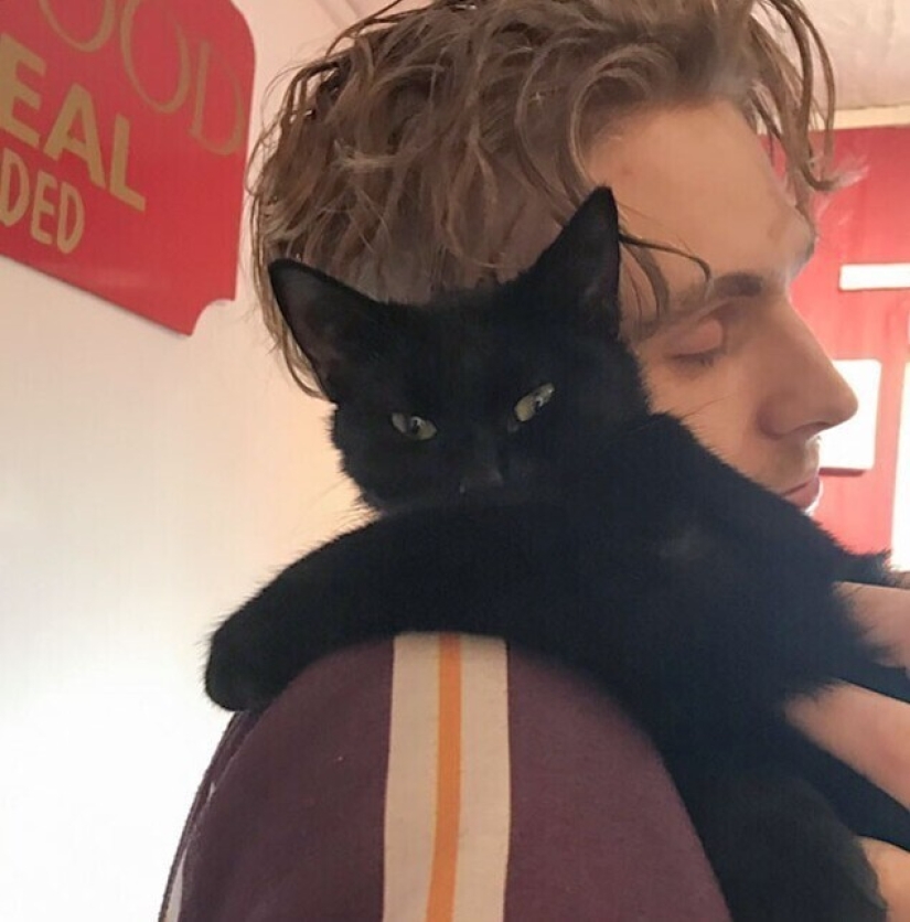 20+ Pets that shamelessly took the second halves of their owners