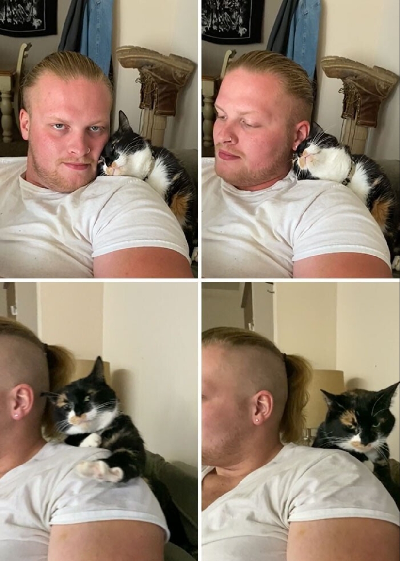 20+ Pets that shamelessly took the second halves of their owners