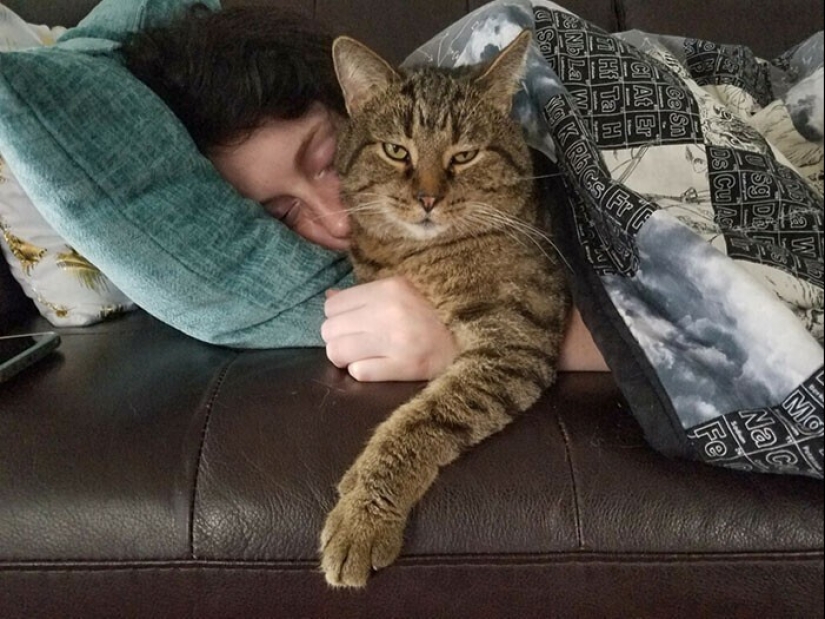 20+ Pets that shamelessly took the second halves of their owners