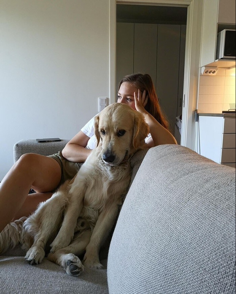 20+ Pets that shamelessly took the second halves of their owners