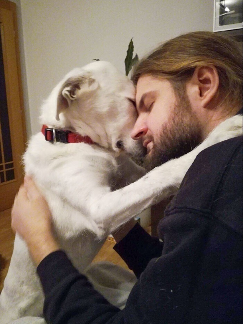 20+ Pets that shamelessly took the second halves of their owners