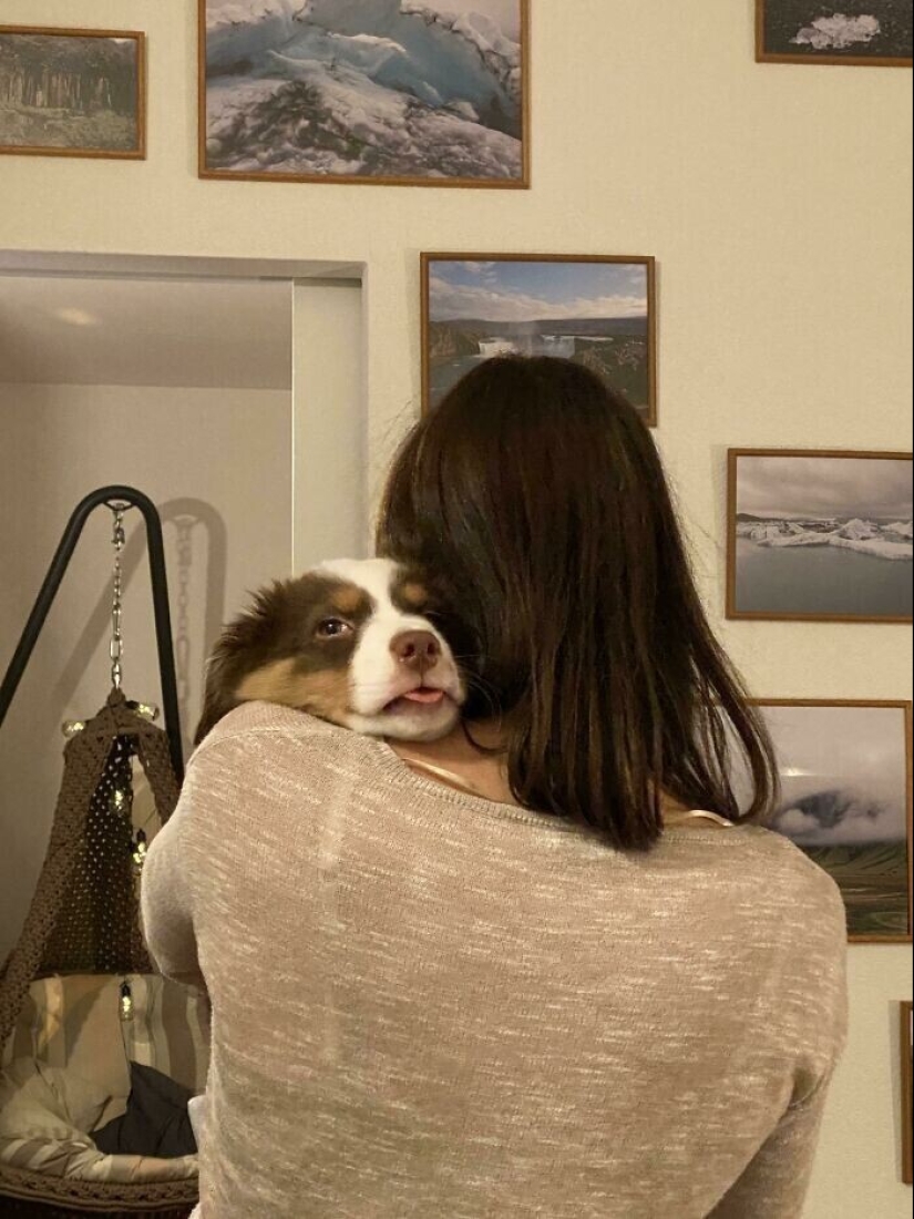 20+ Pets that shamelessly took the second halves of their owners