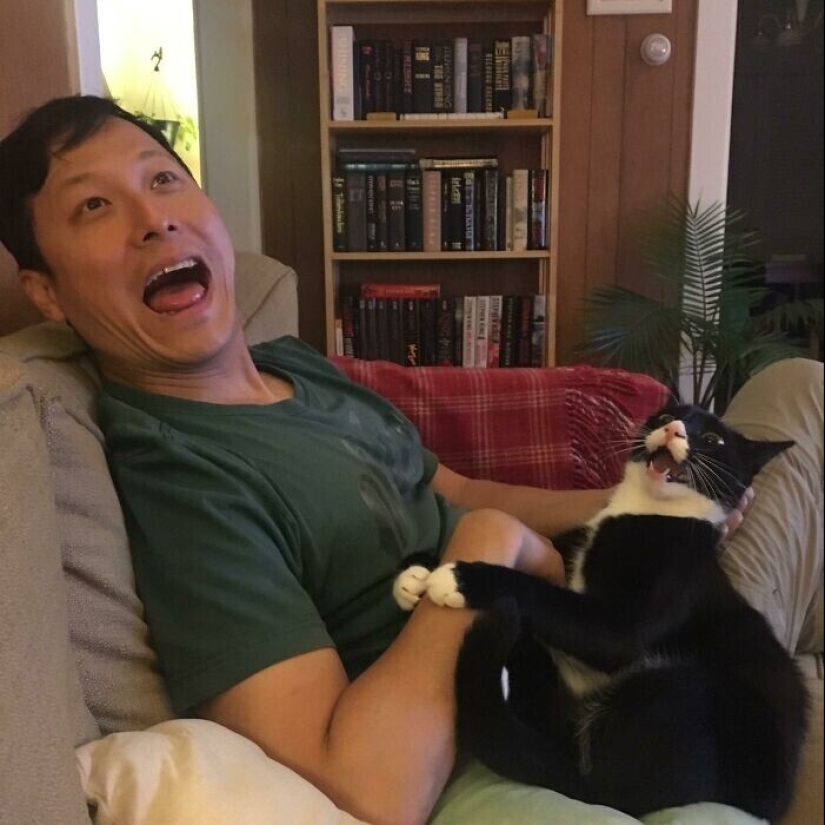 20+ Pets that shamelessly took the second halves of their owners