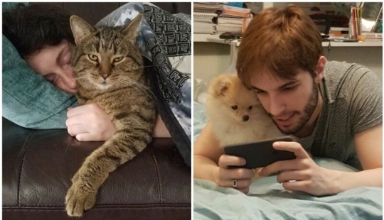 20+ Pets that shamelessly took the second halves of their owners 20+ Pets that shamelessly took the second halves of their owners