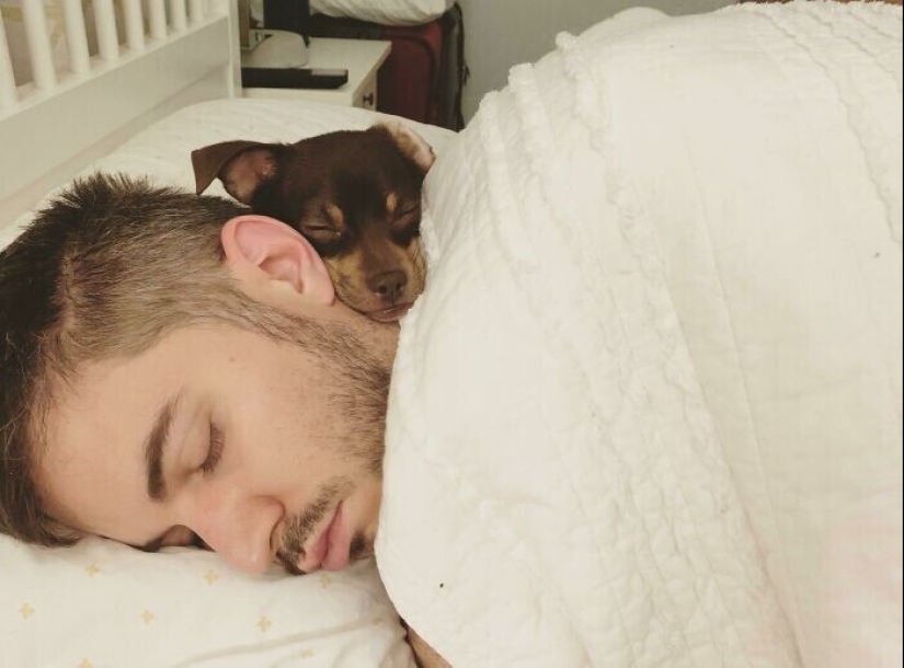 20+ Pets that shamelessly took the second halves of their owners