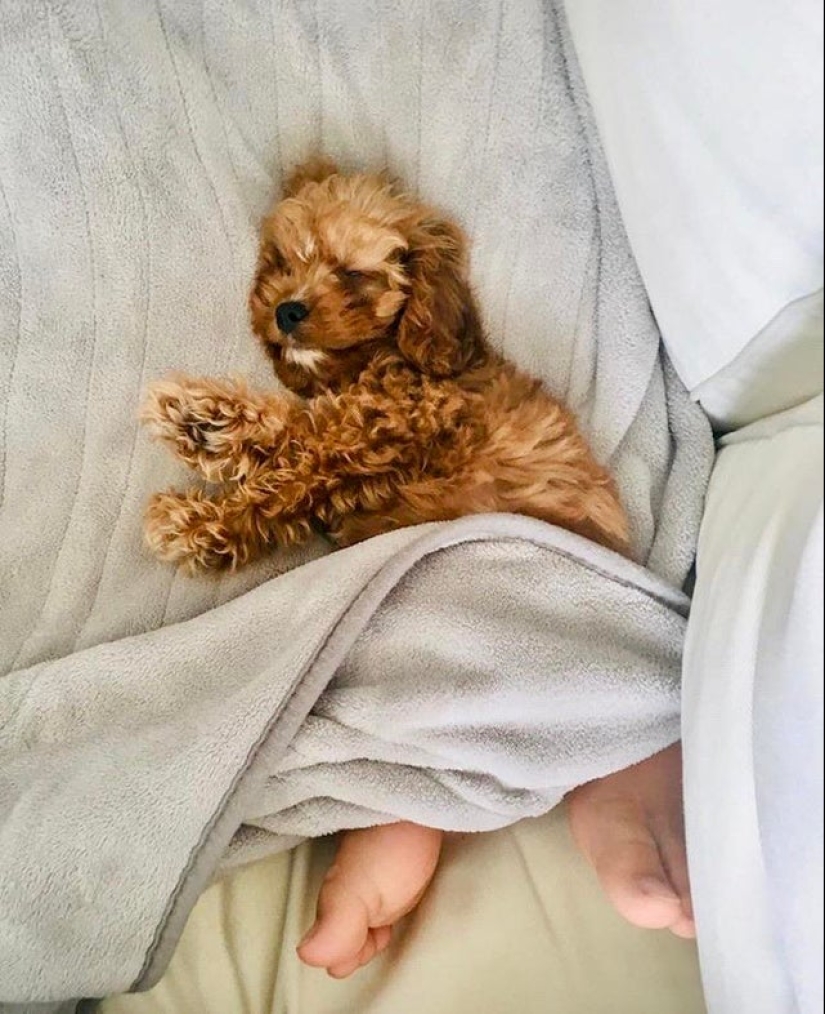 20 photos from the series "it seemed" that will take out your brain 20 photos from the series "it seemed" that will take out your brain