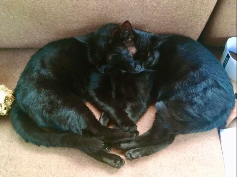 20 photos from the series "it seemed" that will take out your brain 20 photos from the series "it seemed" that will take out your brain