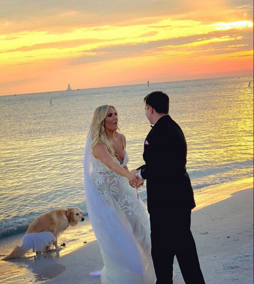 20 photos in which all the most interesting things happen in the background