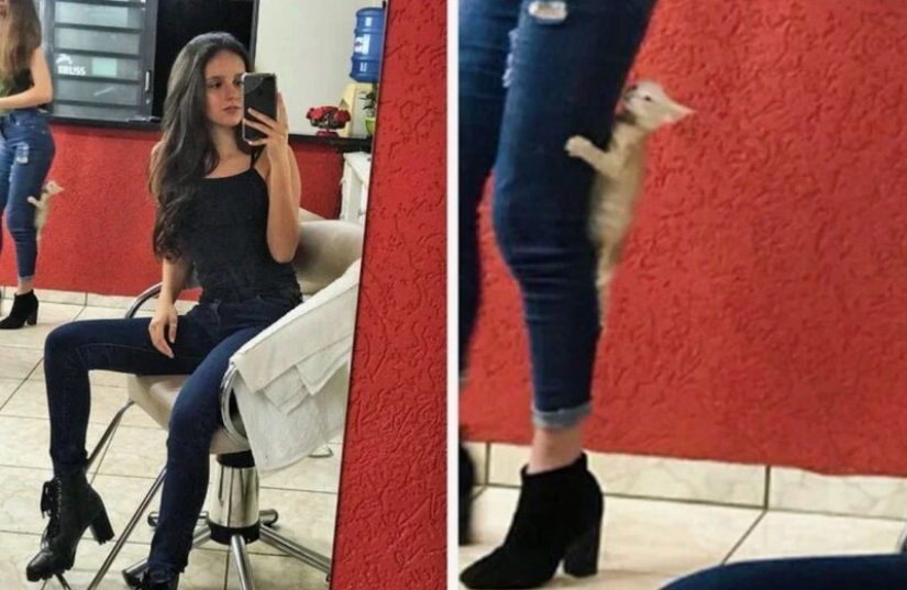 20 photos in which all the most interesting things happen in the background