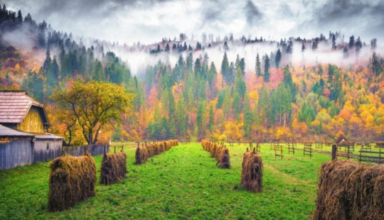 20 photos in which autumn is fantastically beautiful