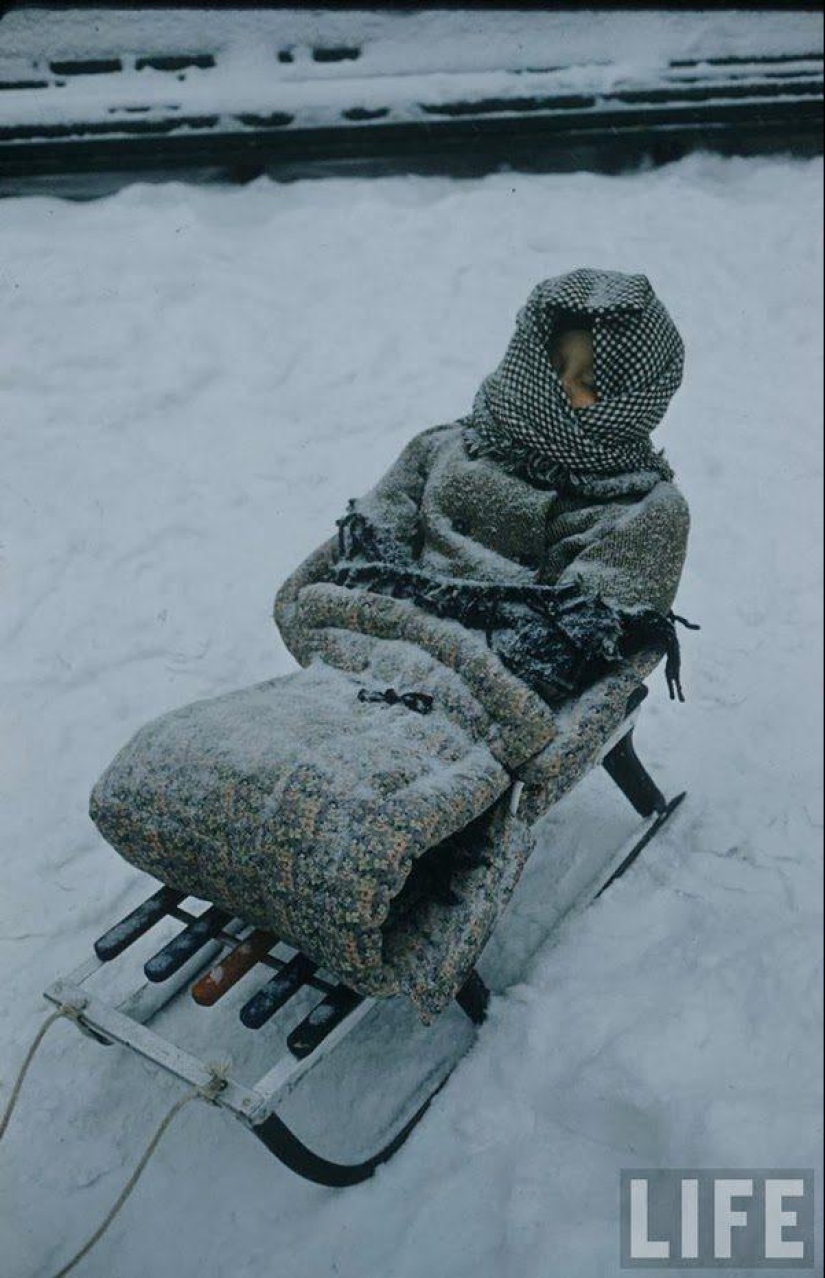 20 photos of little Muscovites of the early 1960s 20 photos of little Muscovites of the early 1960s