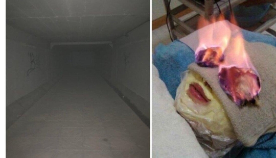 20 photos of ordinary things that can tickle the nerves 20 photos of ordinary things that can tickle the nerves