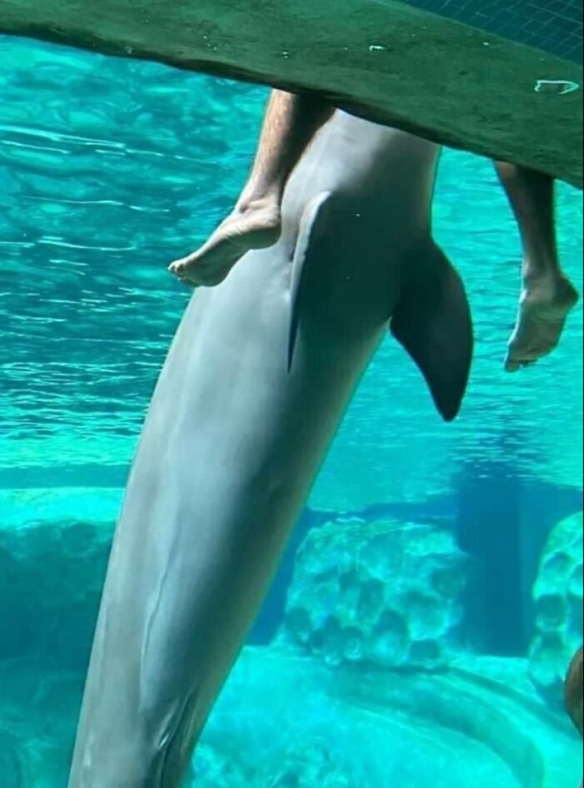 20 photos of wildlife that is so bad that even good