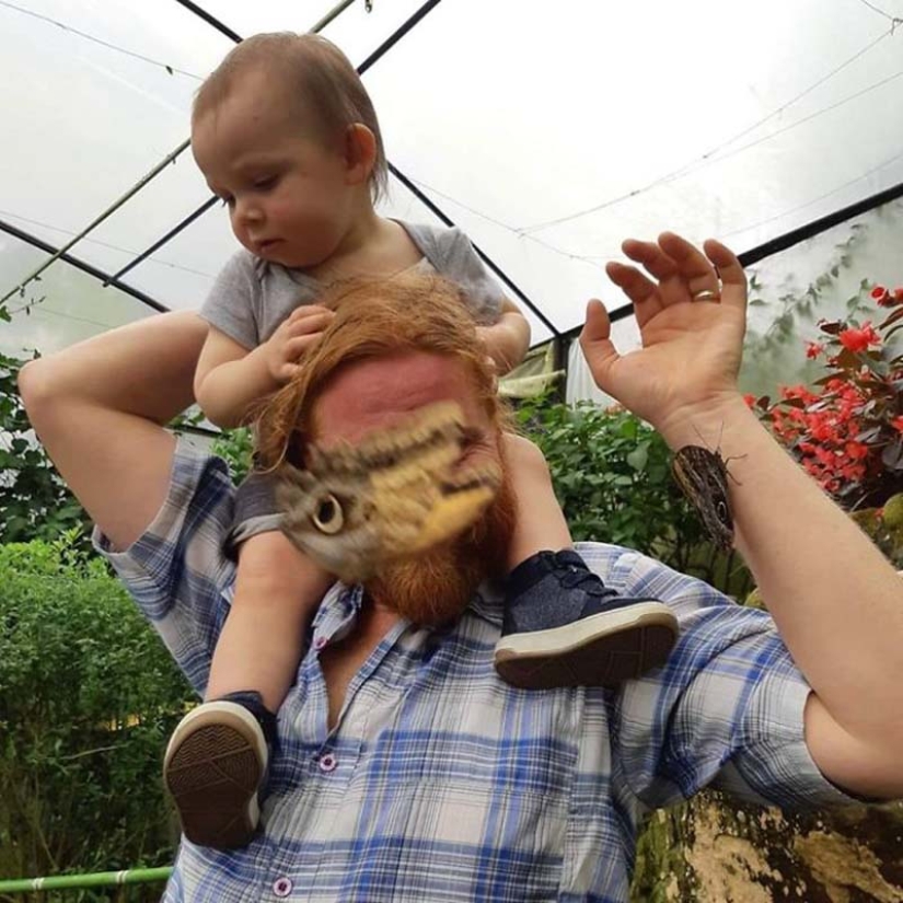 20 photos of wildlife that is so bad that even good