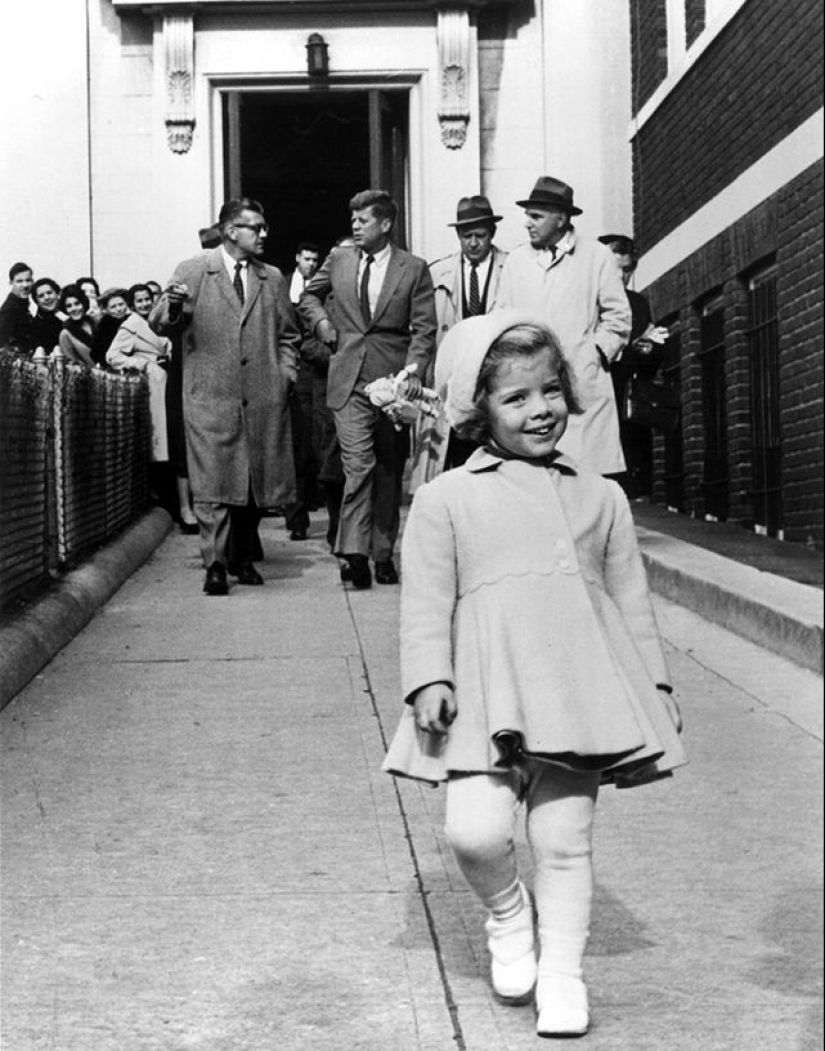 20 photos proving that cats are not designed for winter 20 photos proving that cats are not designed for winter