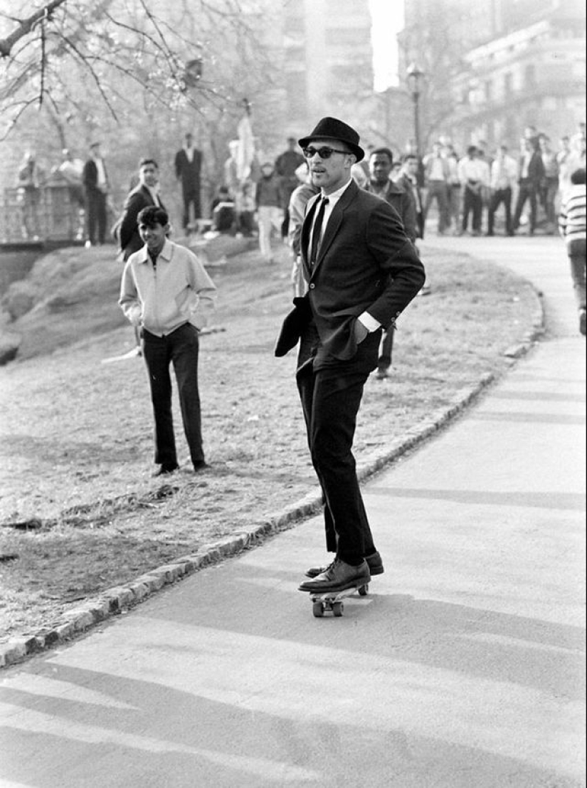 20 photos proving that cats are not designed for winter 20 photos proving that cats are not designed for winter