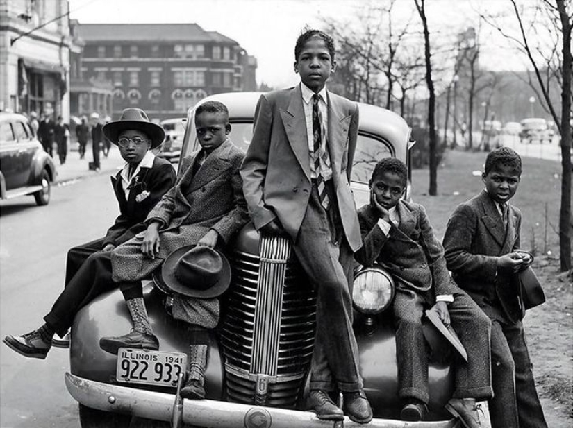 20 photos proving that cats are not designed for winter 20 photos proving that cats are not designed for winter