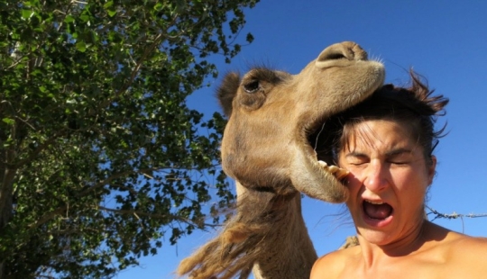 20 photos taken a second before the inevitable