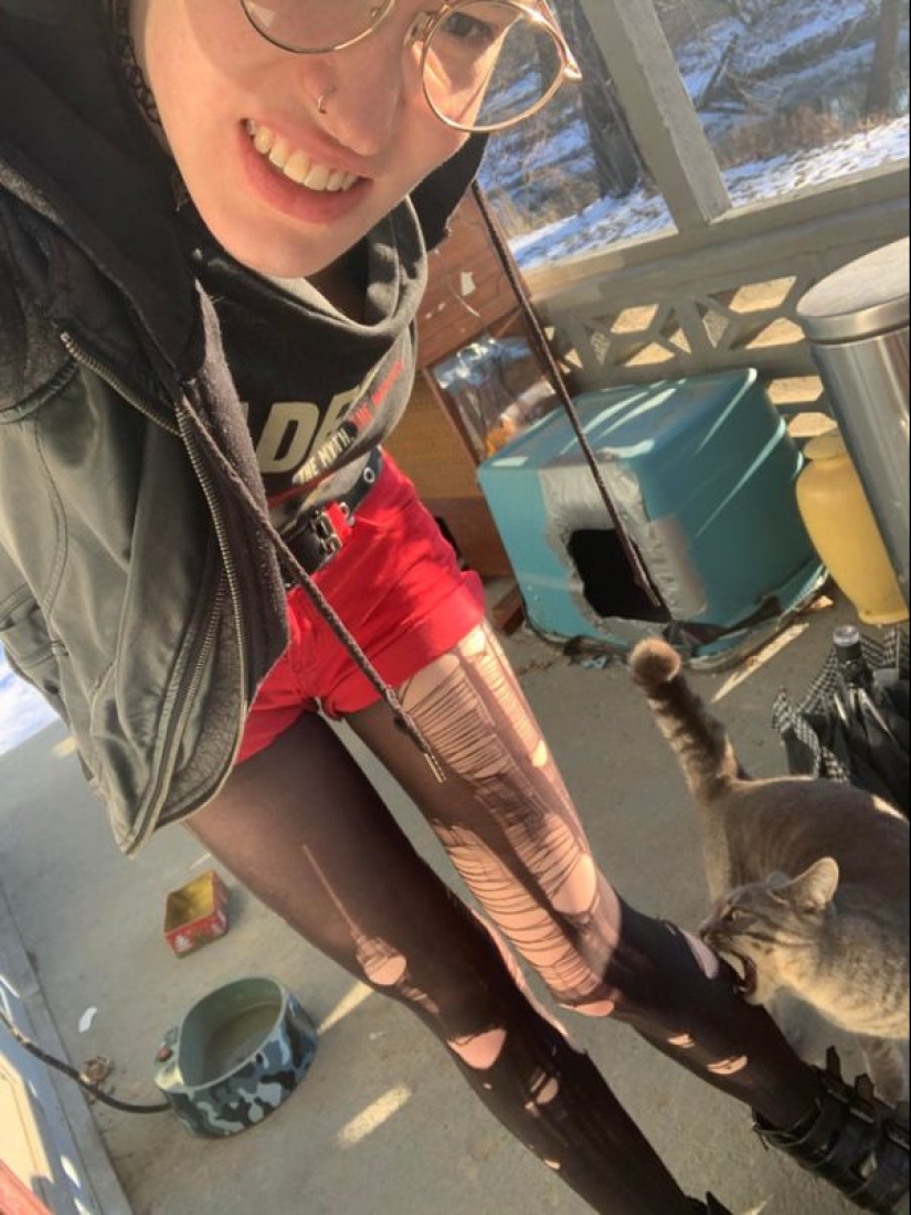 20 photos taken at the perfect moment 20 photos taken at the perfect moment