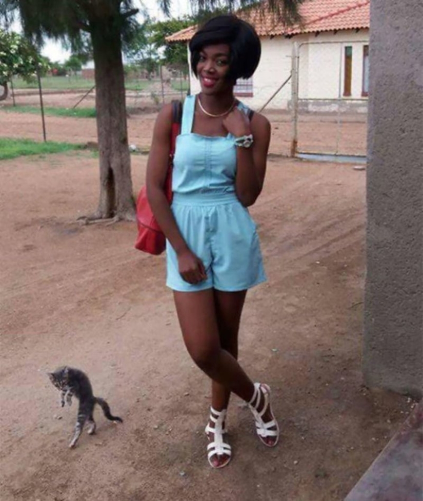 20+ photos that are interesting only because of the cats 20+ photos that are interesting only because of the cats