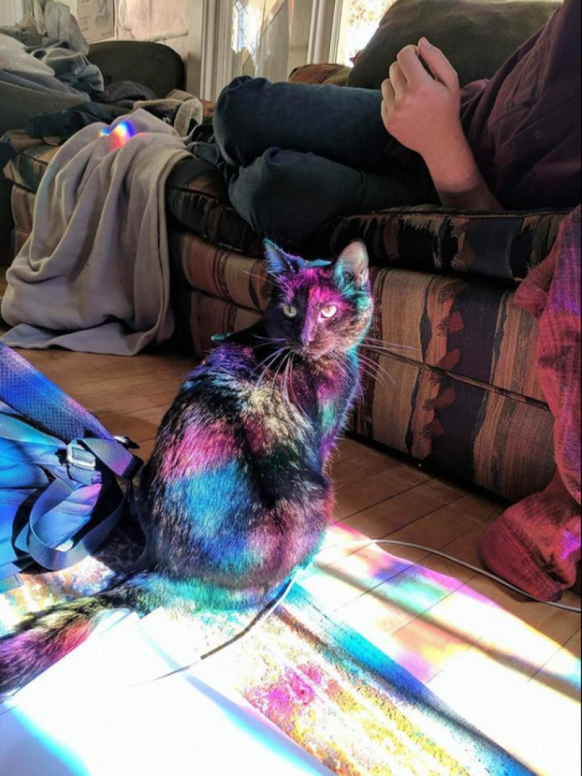 20 photos that fans will appreciate is just perfect