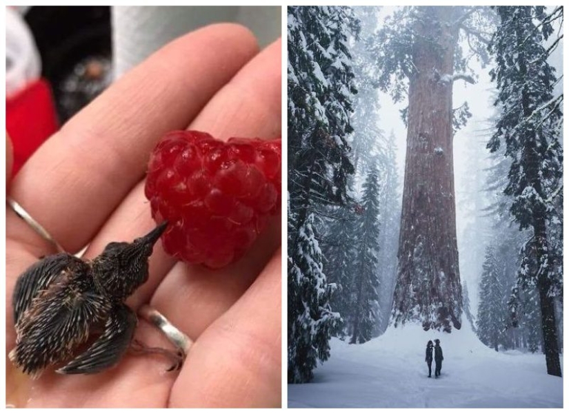 20 photos that prove that everything in this world is relative