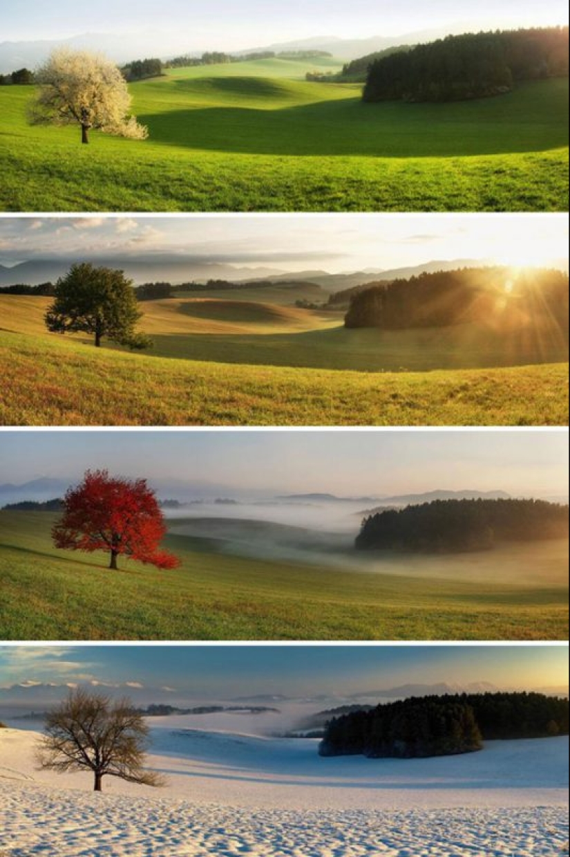 20 photos that prove that everything in this world is relative