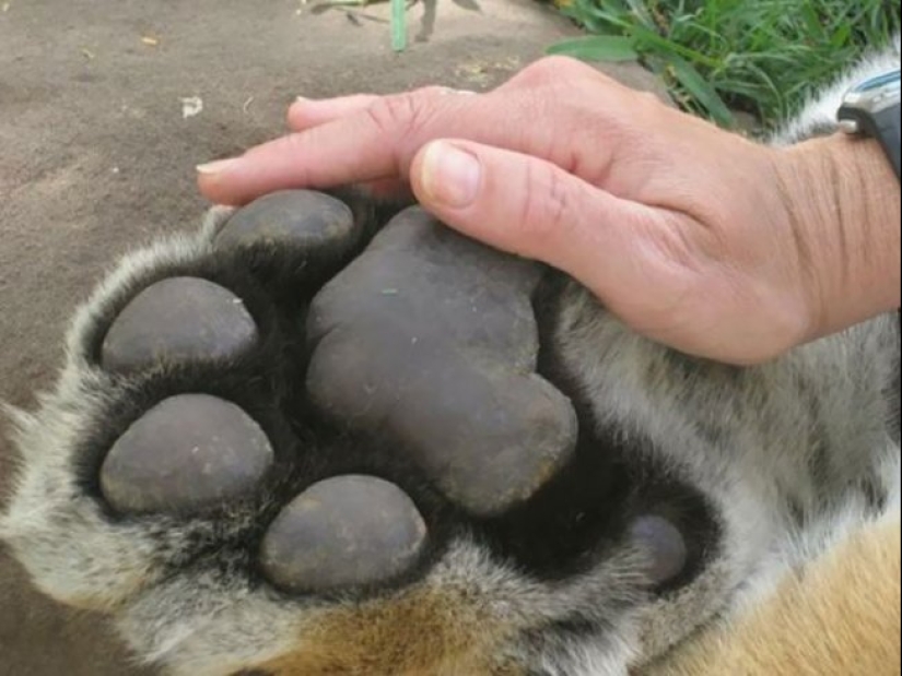 20 photos that prove that everything in this world is relative