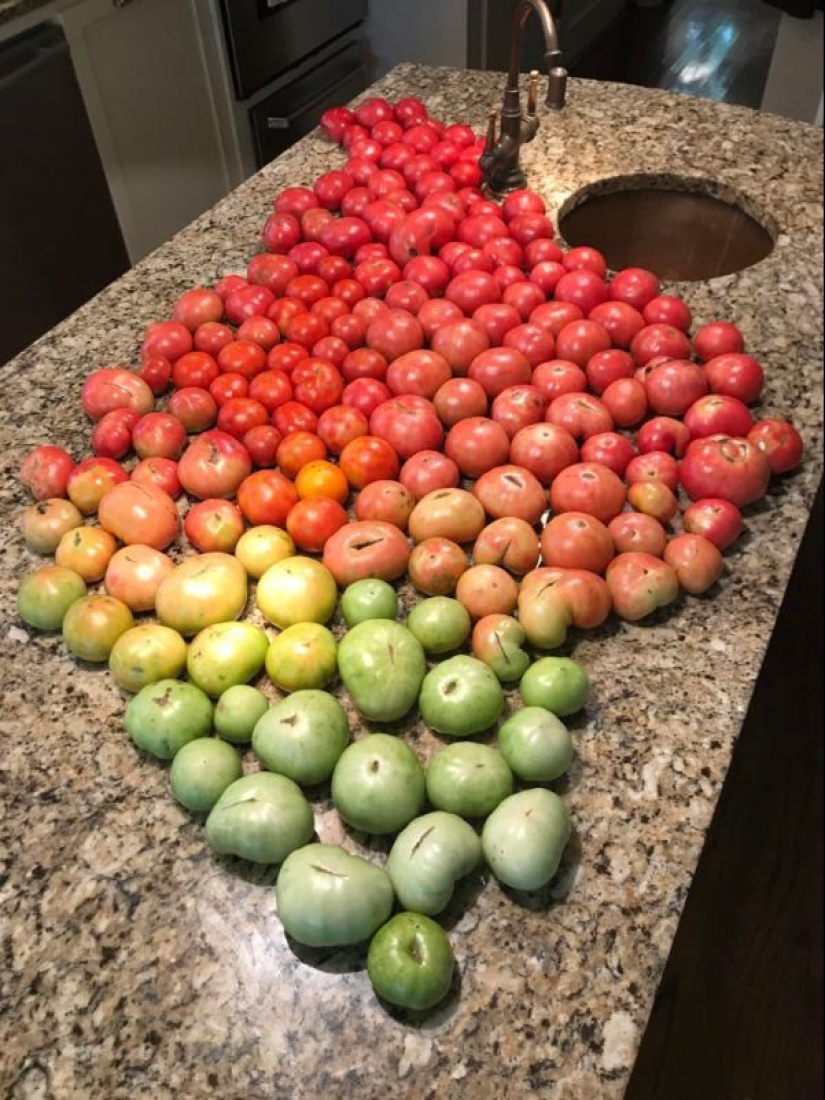 20 photos that will give you aesthetic pleasure