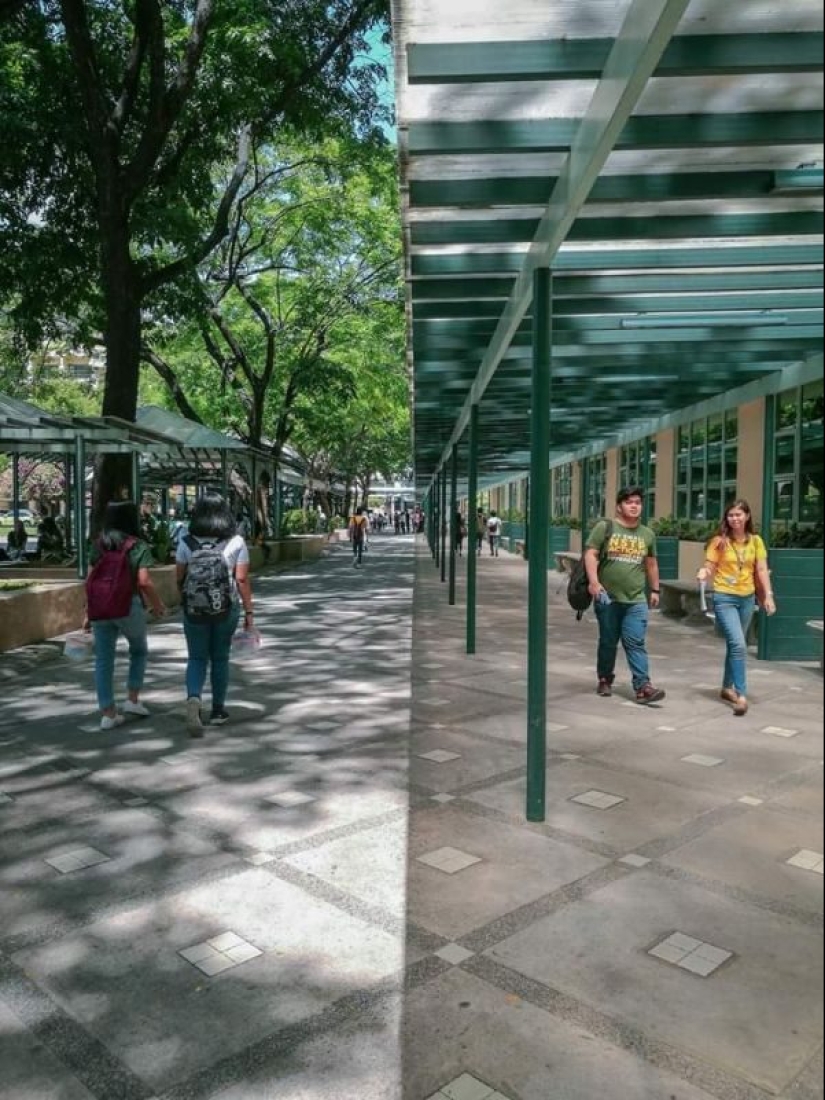 20 photos that will delight true perfectionists