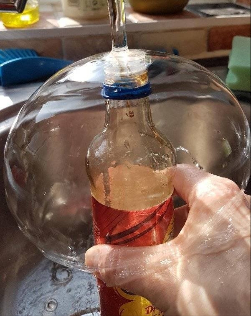 20 photos that will delight true perfectionists