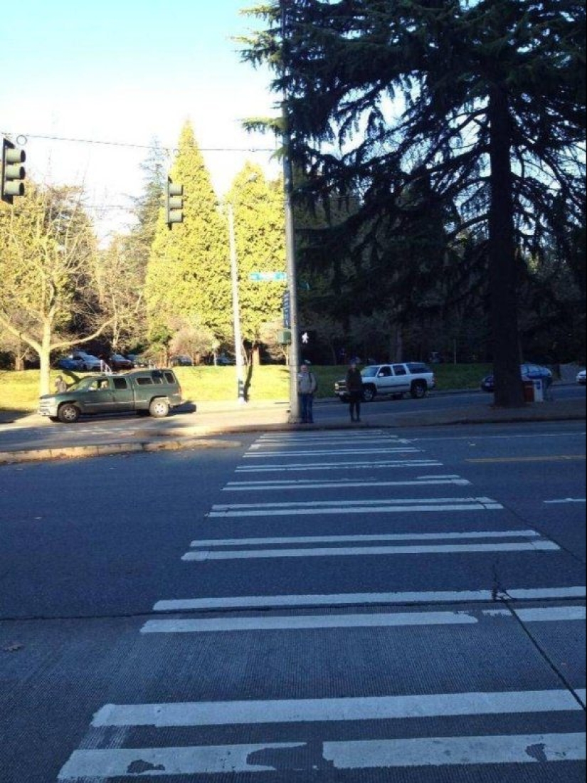 20 photos that will delight true perfectionists