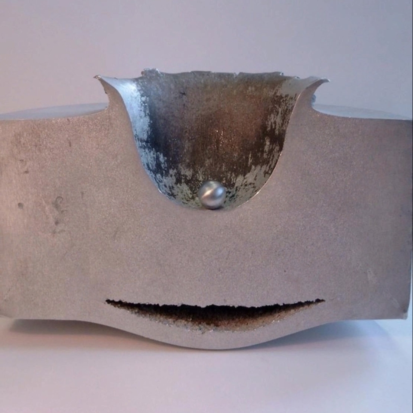 20 pictures of interesting things that you rarely see and if you are very lucky 20 pictures of interesting things that you rarely see and if you are very lucky