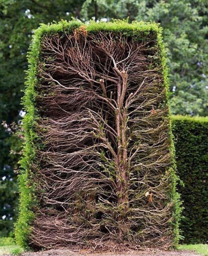 20 pictures of interesting things that you rarely see and if you are very lucky 20 pictures of interesting things that you rarely see and if you are very lucky