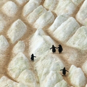 20 pictures of interesting things that you rarely see and if you are very lucky