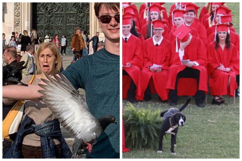 20 pictures that were taken at the right time