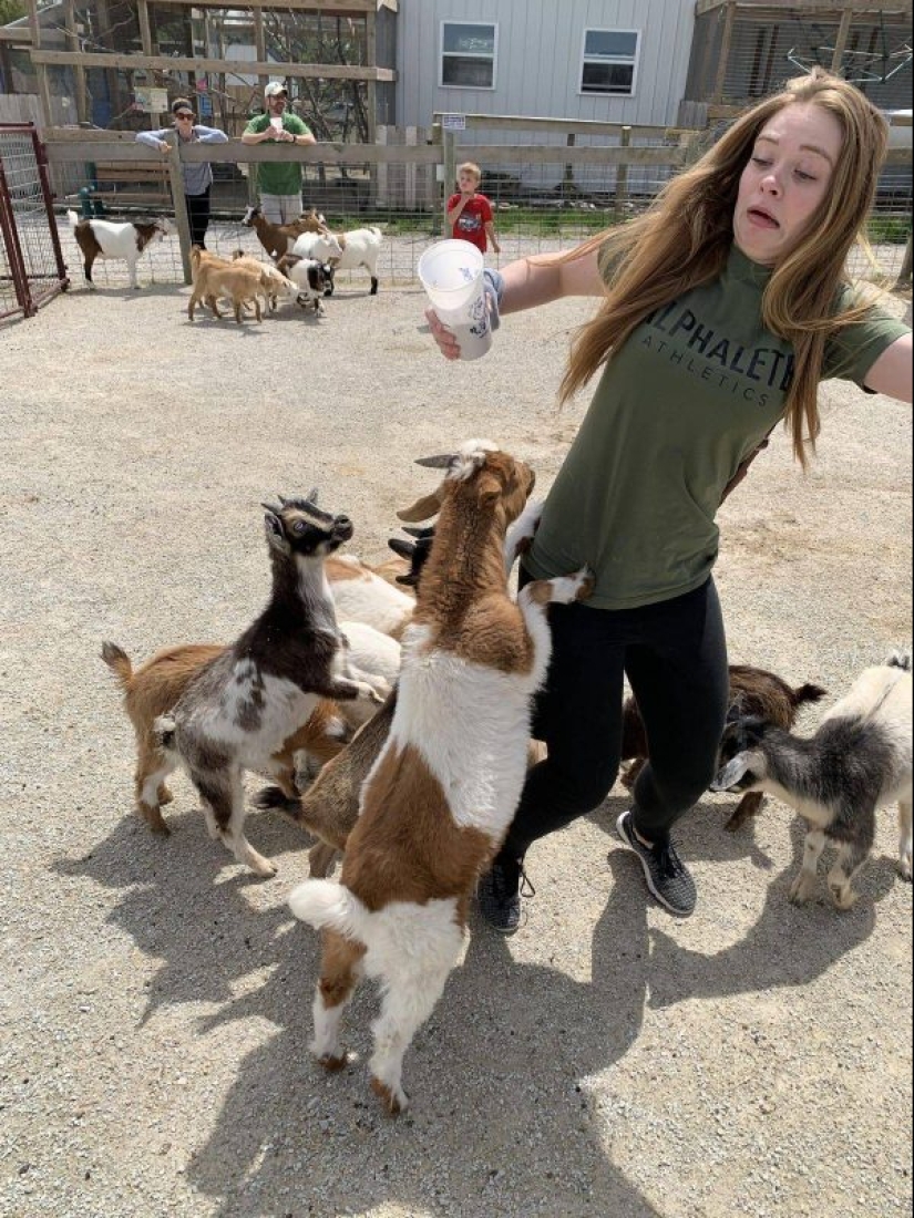 20 pictures that were taken at the right time