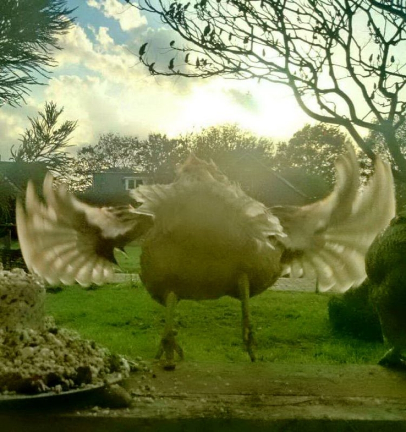 20 pictures that were taken at the right time