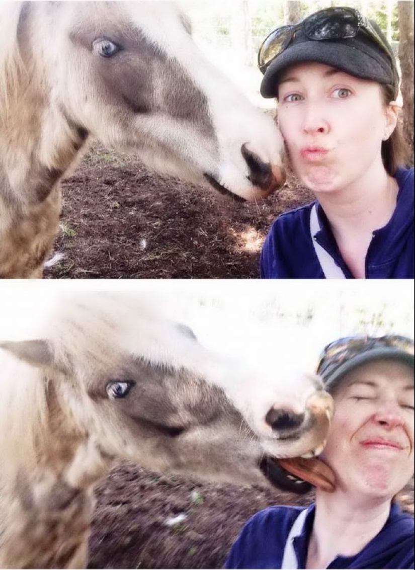 20 pictures that were taken at the right time