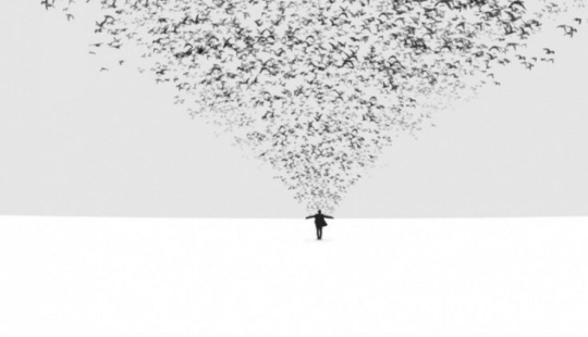 20 pictures with nothing superfluous on them