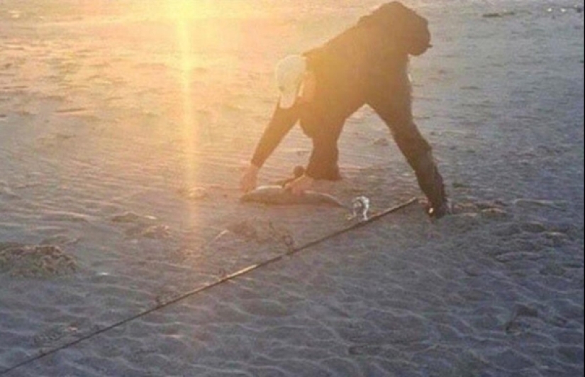 20 pictures you have to look twice