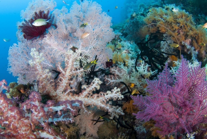 20 places where color rules the world 20 places where color rules the world