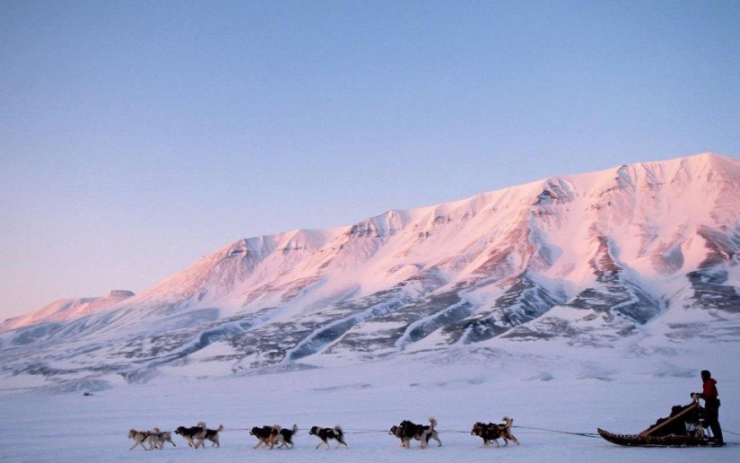 20 places where rare animals are found 20 places where rare animals are found