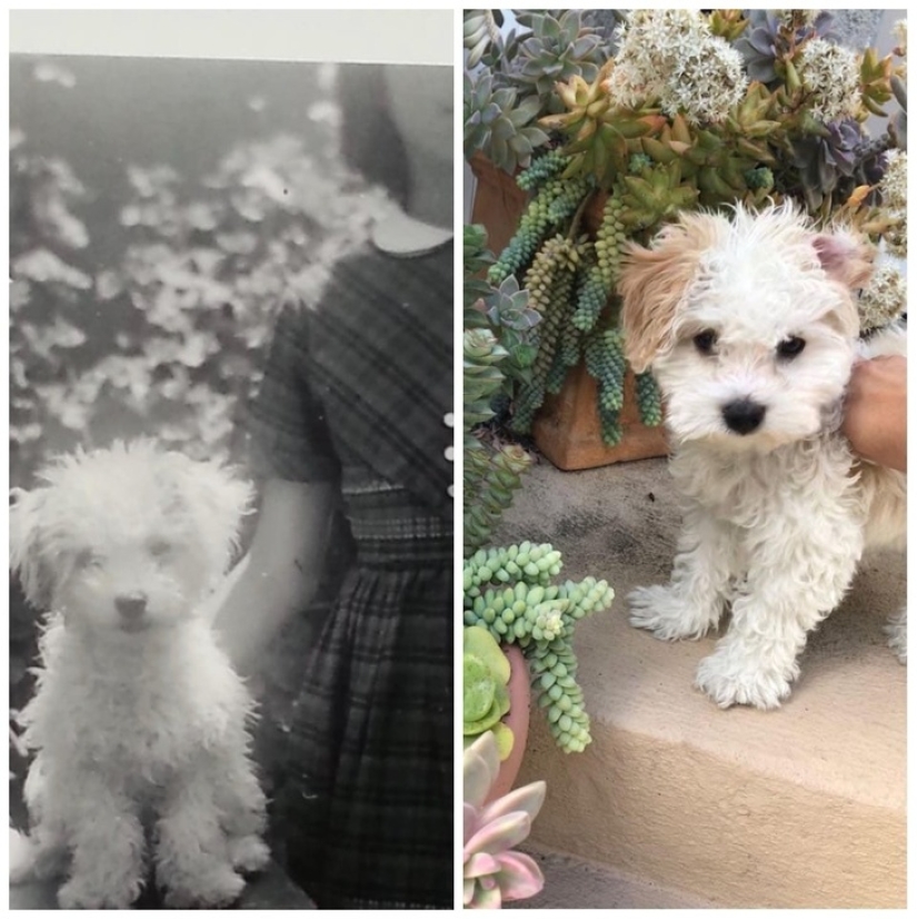 20 proof that some things never change